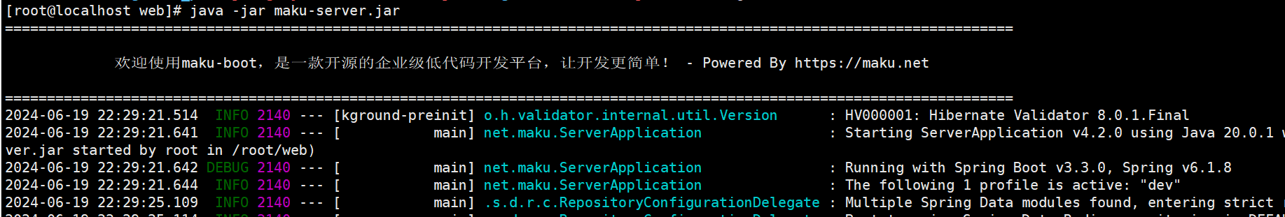 image-20240619224441063